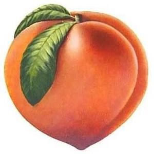 Meet your Posher, Anne